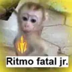 Preview do meme